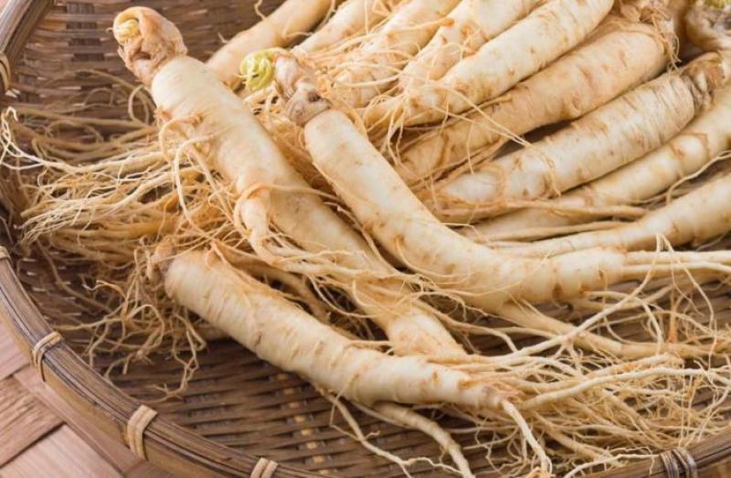 Ginseng properties, benefits, use and contraindications Tuetego