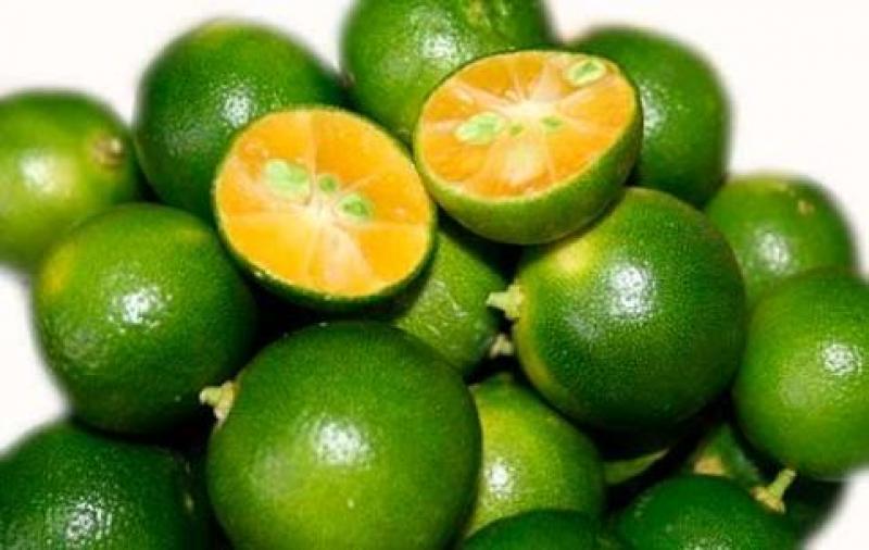 Amazing Benefits of Calamansi Tuetego
