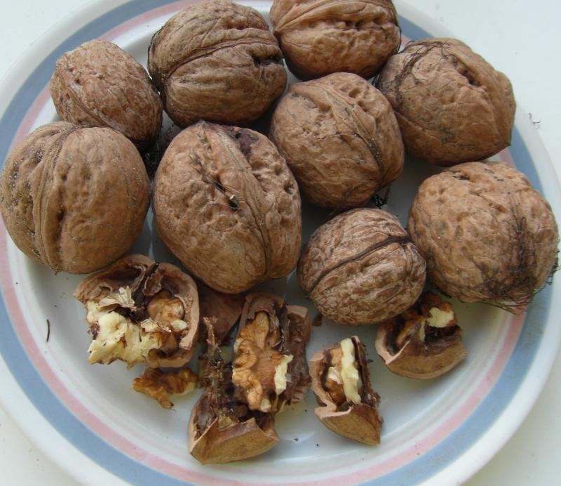 Benefits of Eating Walnuts Tuetego