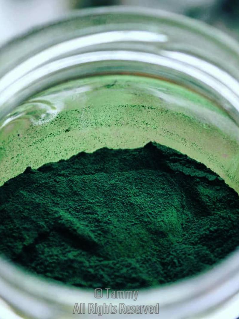 Spirulina, "superfood" of the future. Tuetego
